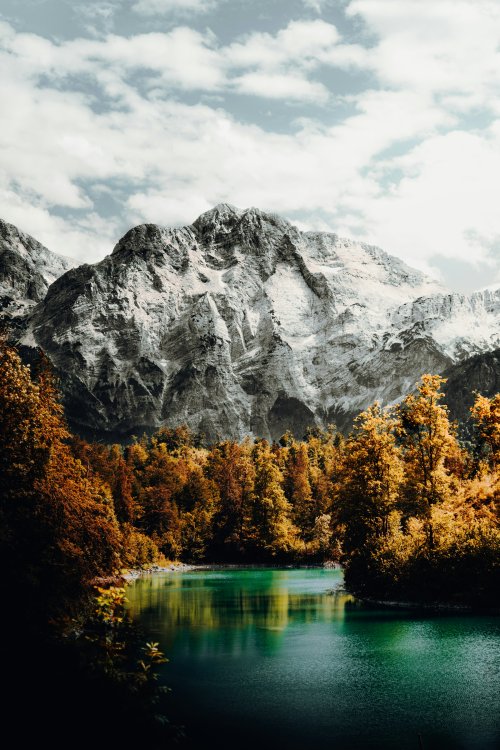 Nature-2
